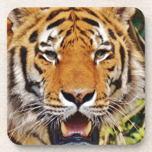 Posavasos Tigre