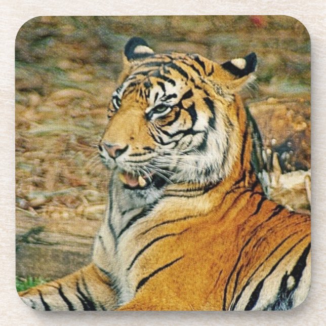 Posavasos Tigre (Frente)