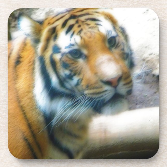 Posavasos Tigre (Frente)