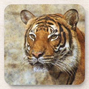 Posavasos Tigre20151202