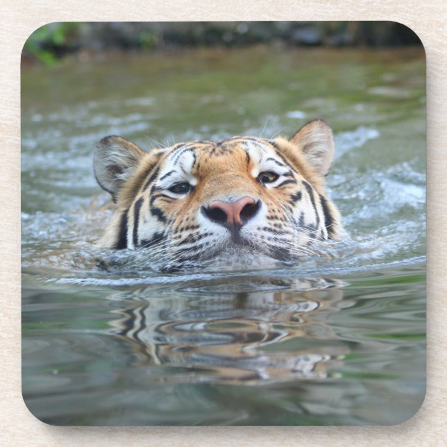 Posavasos Tigre 028 (Frente)
