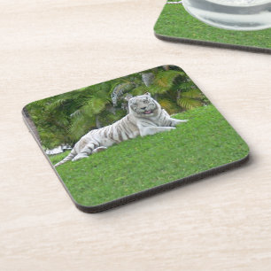 Posavasos Tigre Blanco Descansando en la Sombra del Bosque V