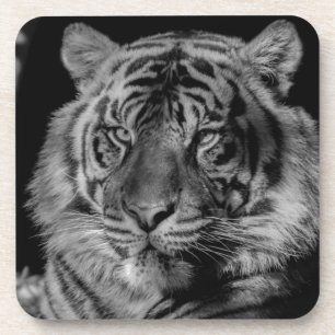 Posavasos Tigre blanco y negro