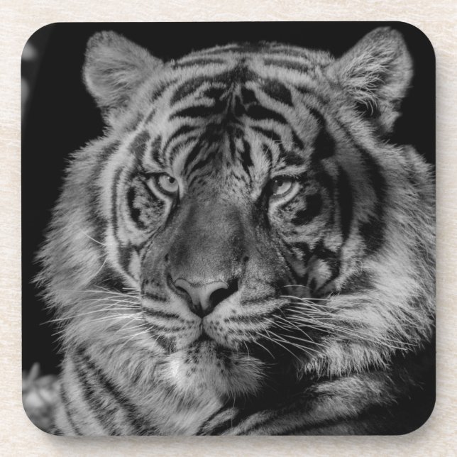 Posavasos Tigre blanco y negro (Frente)