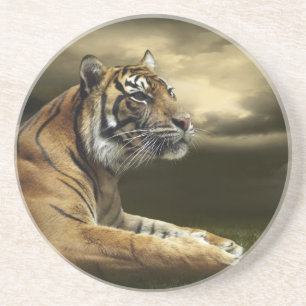 Posavasos Tigre que mira y que se sienta debajo del cielo