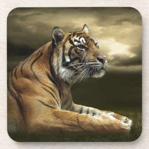 Posavasos Tigre que mira y que se sienta debajo del cielo