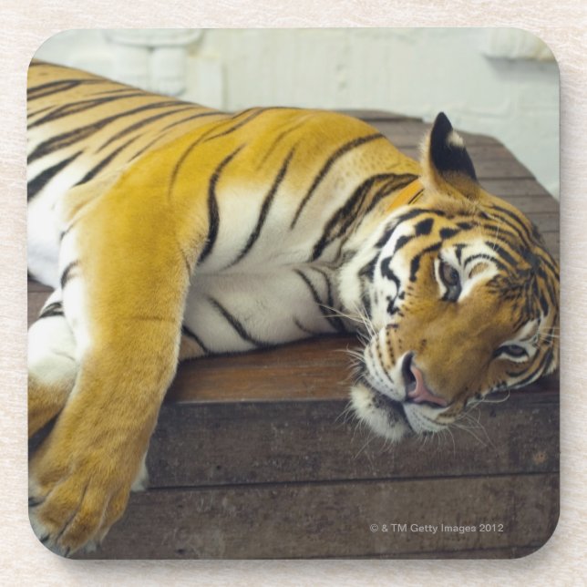 Posavasos Tigre, Samui, Tailandia (Frente)