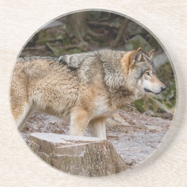 Posavasos Timber Wolf (Frente)