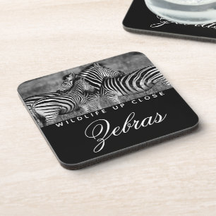 Posavasos Tira animal Vida salvaje blanca negra cercana