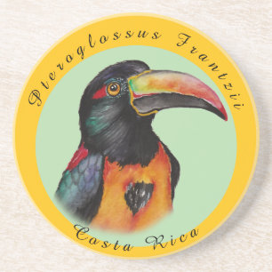 Posavasos Tocan acuarela