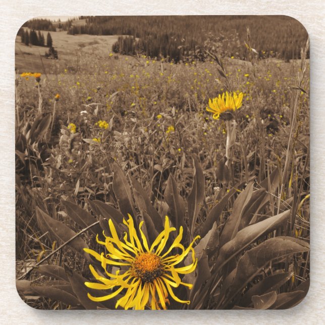 Posavasos Tono sepia Flores silvestres amarillas (Frente)