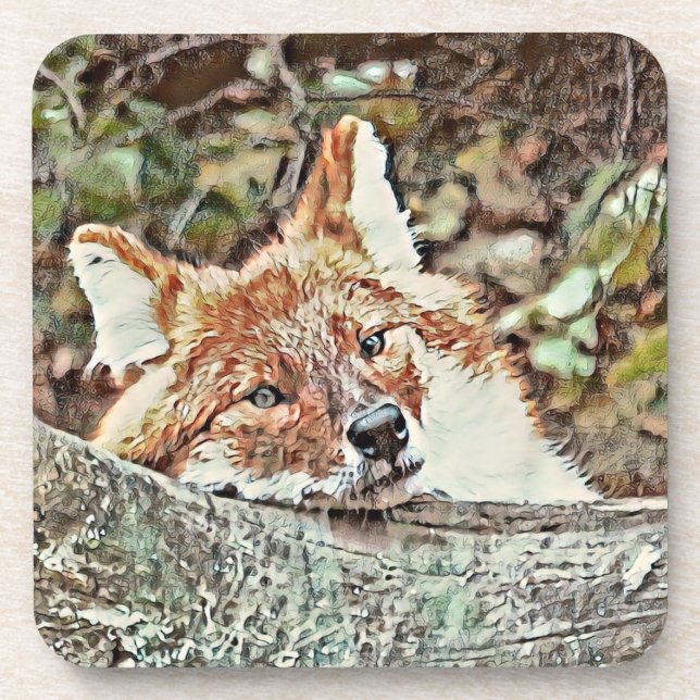 Posavasos Toony Fox (Frente)