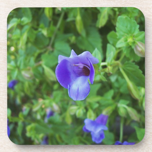 Posavasos Torenia (Frente)