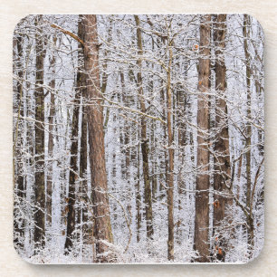 Posavasos Tormenta de hielo invernal en el bosque
