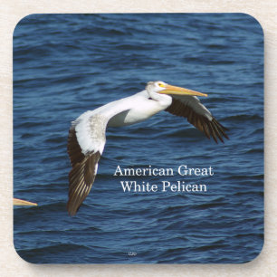 Posavasos Toros de plástico del American Great White Pelican