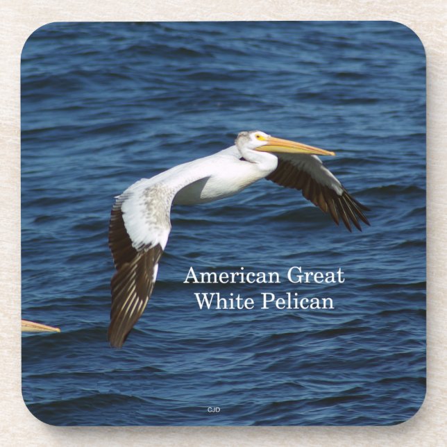 Posavasos Toros de plástico del American Great White Pelican (Frente)