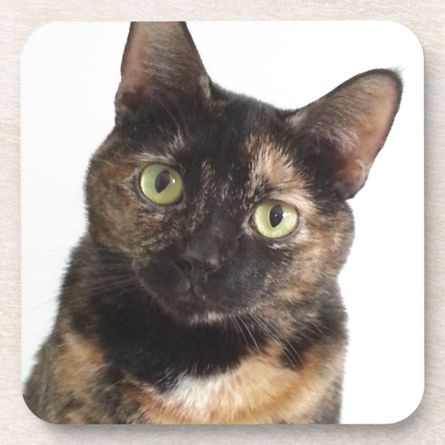 Posavasos Tortoiseshell Cat (Frente)