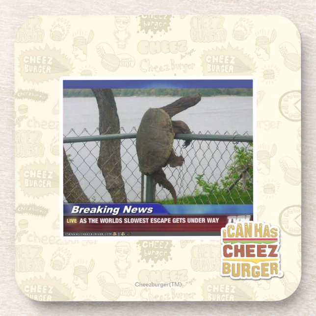 Posavasos Tortuga de Excaping (Frente)