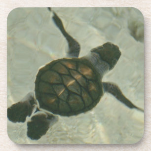 Posavasos Tortuga de mar del bebé que nada hacia fuera al