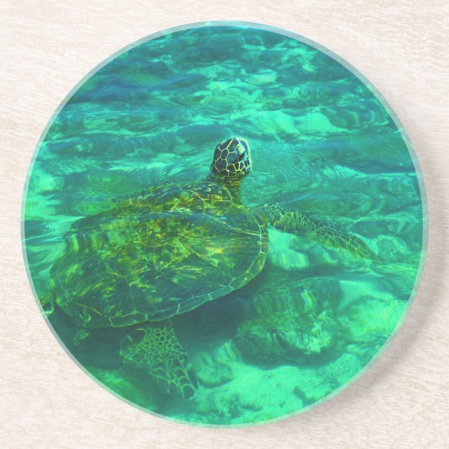 Posavasos Tortuga de mar hawaiana de Honu (Frente)