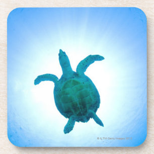 Posavasos Tortuga de mar que nada bajo el agua