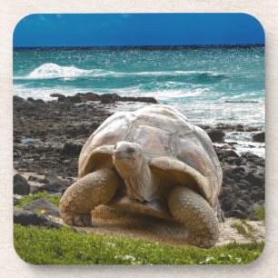 Posavasos Tortuga grande en el borde del mar