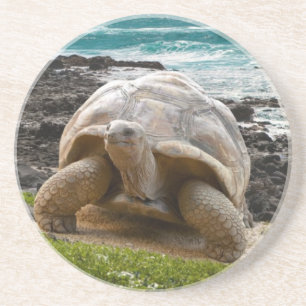 Posavasos Tortuga grande en el borde del mar