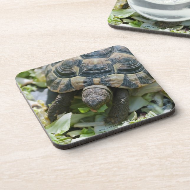 Posavasos Tortuga linda (Lado Izquierdo)