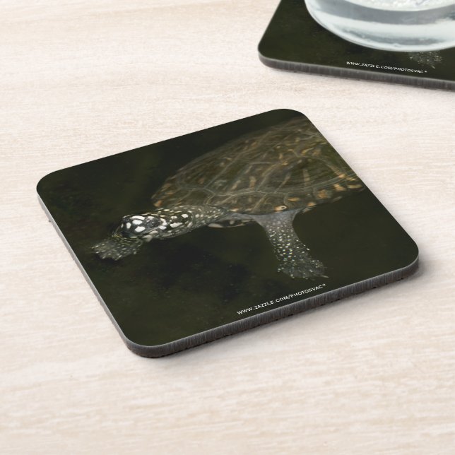 Posavasos Tortuga nadando (Lado Izquierdo)