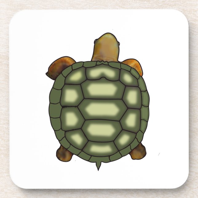 Posavasos Tortuga Verde Hermosa sobre Blanco (Frente)
