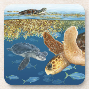 Posavasos Tortugas de mar en prácticos de costa del hábita