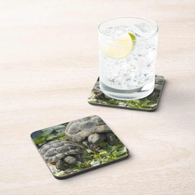 Posavasos Tortugas Lindas (Lado Derecho)