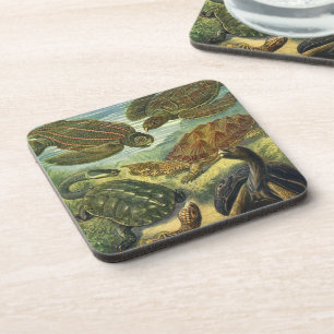 Posavasos Tortugas Marinas Tortuga Terrestre Vintage por Ern