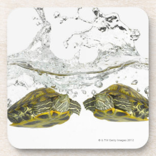 Posavasos Tortugas rojas del resbalador