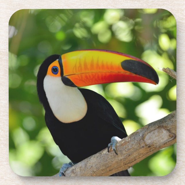 Posavasos Toucan (Frente)