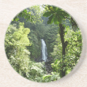 Posavasos Trafalgar cae fotografía tropical de selva tropica