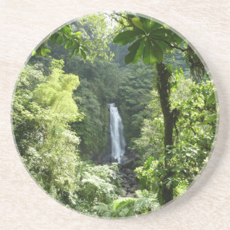 Posavasos Trafalgar cae fotografía tropical de selva tropica