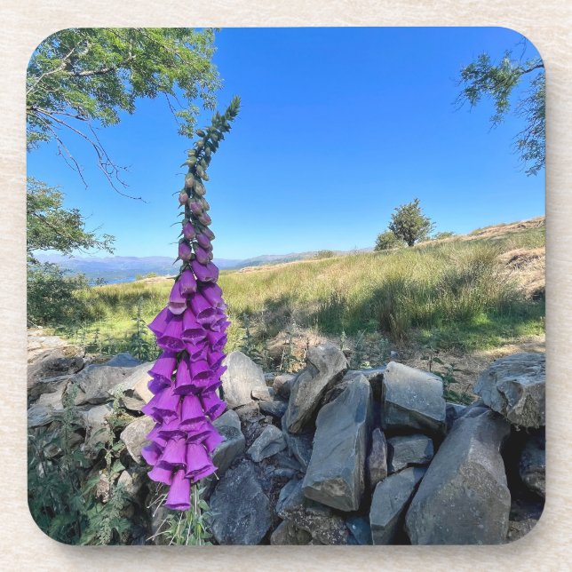 Posavasos Tranquilidad del campo inglés (Frente)