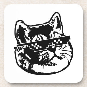 Posavasos Trato con él gato Meme de los vidrios