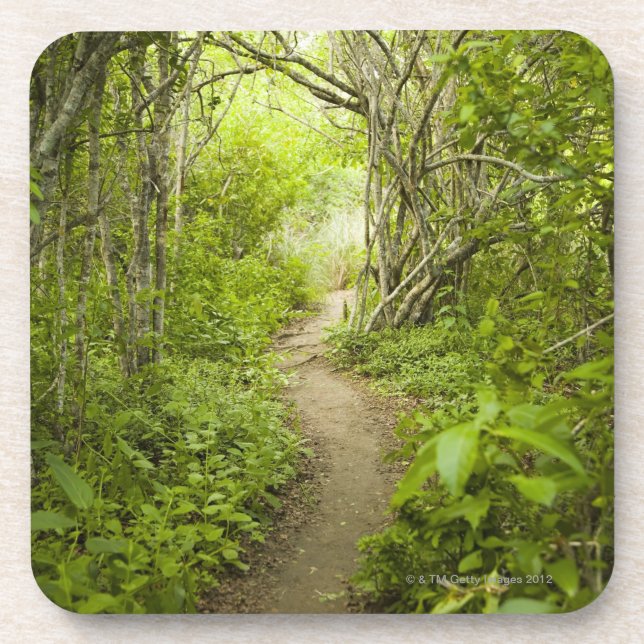 Posavasos Trayectoria a través del bosque (Frente)