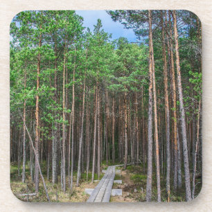 Posavasos Trayectoria de madera en bosque de pinos