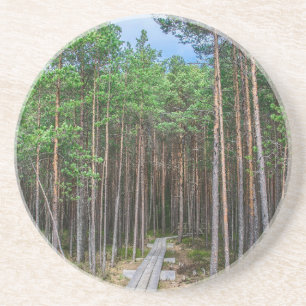 Posavasos Trayectoria de madera en bosque de pinos