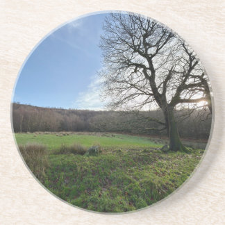 Posavasos Tree view..