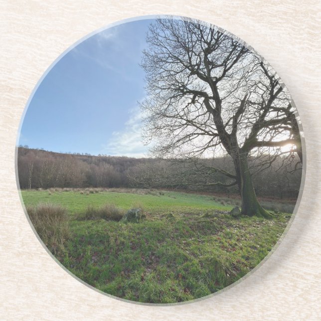 Posavasos Tree view.. (Frente)