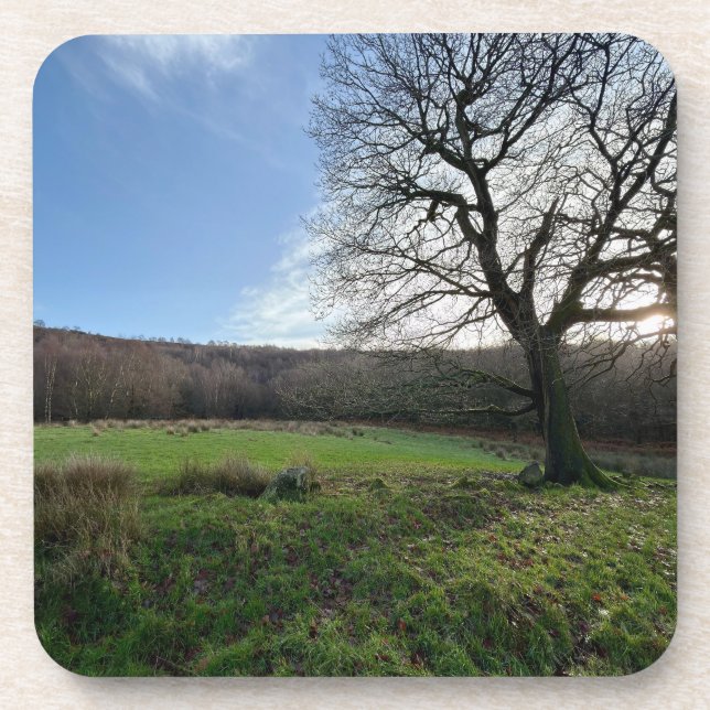 Posavasos Tree view.. (Frente)