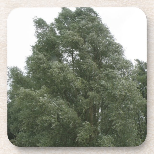 Posavasos Treetops Cork Coaster (Frente)