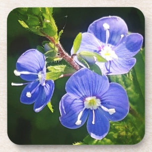 Posavasos Tres flores azules