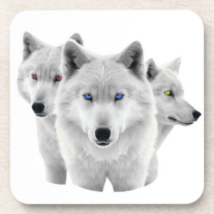 Posavasos Tres lobos blancos