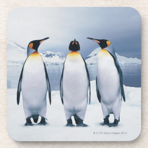 Posavasos Tres rey pingüinos