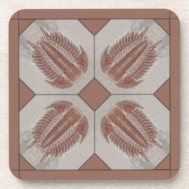 Posavasos Trilobite Fossil